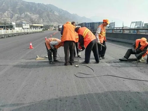 麻山道路桥梁病害治理